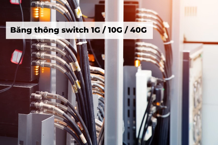 Switching Capacity switch cong nghiep